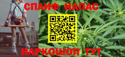 МДПВ Гагарин