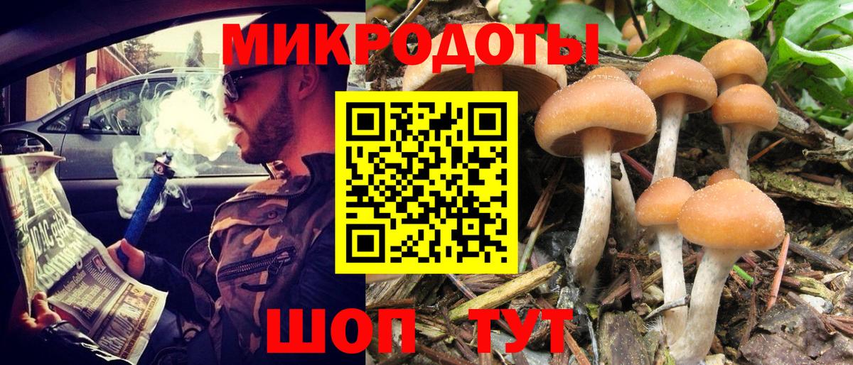 Зеленокумск  Псилоцибиновые грибы GOLDEN TEACHER  Вход с VPN 